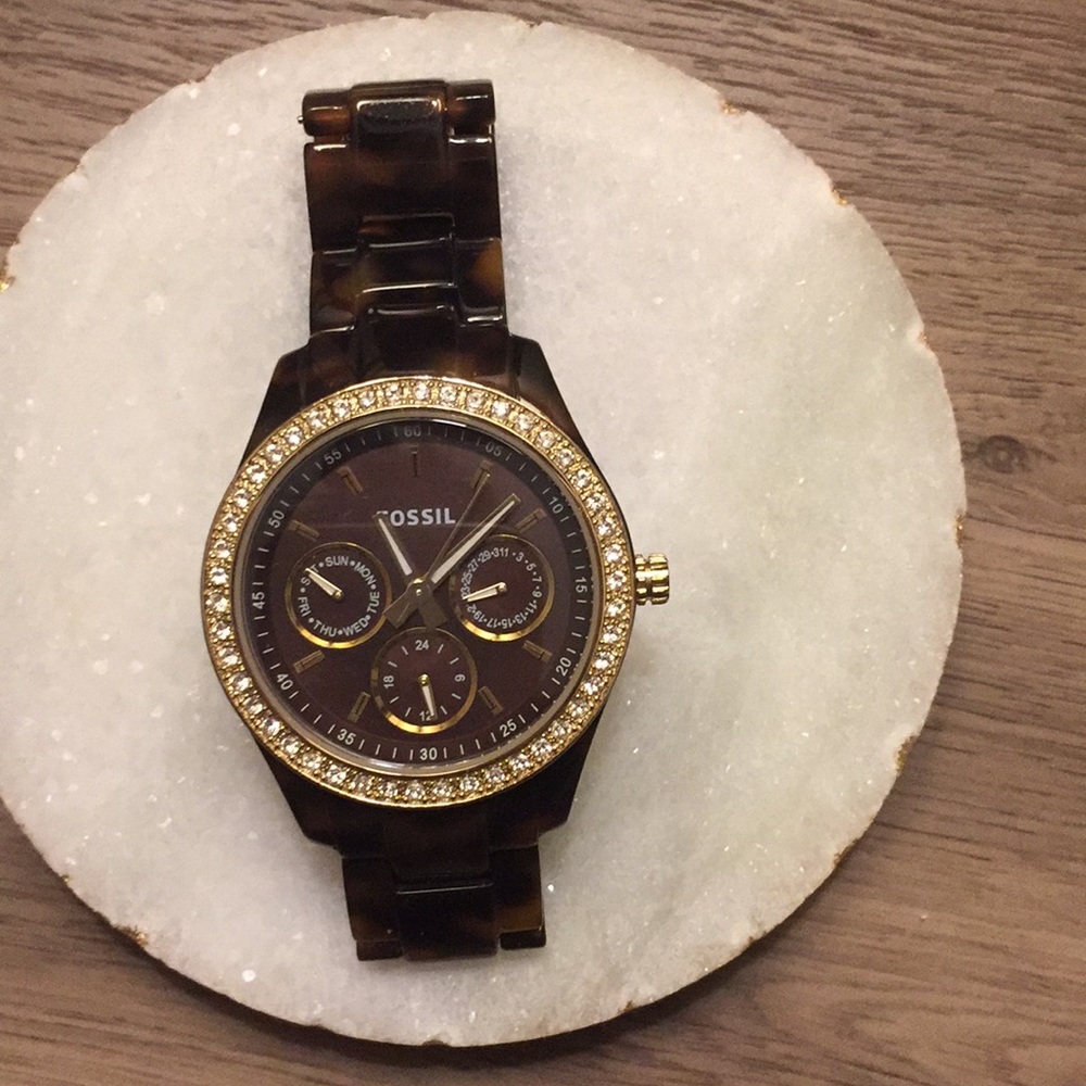 Tortoise fossil watch
